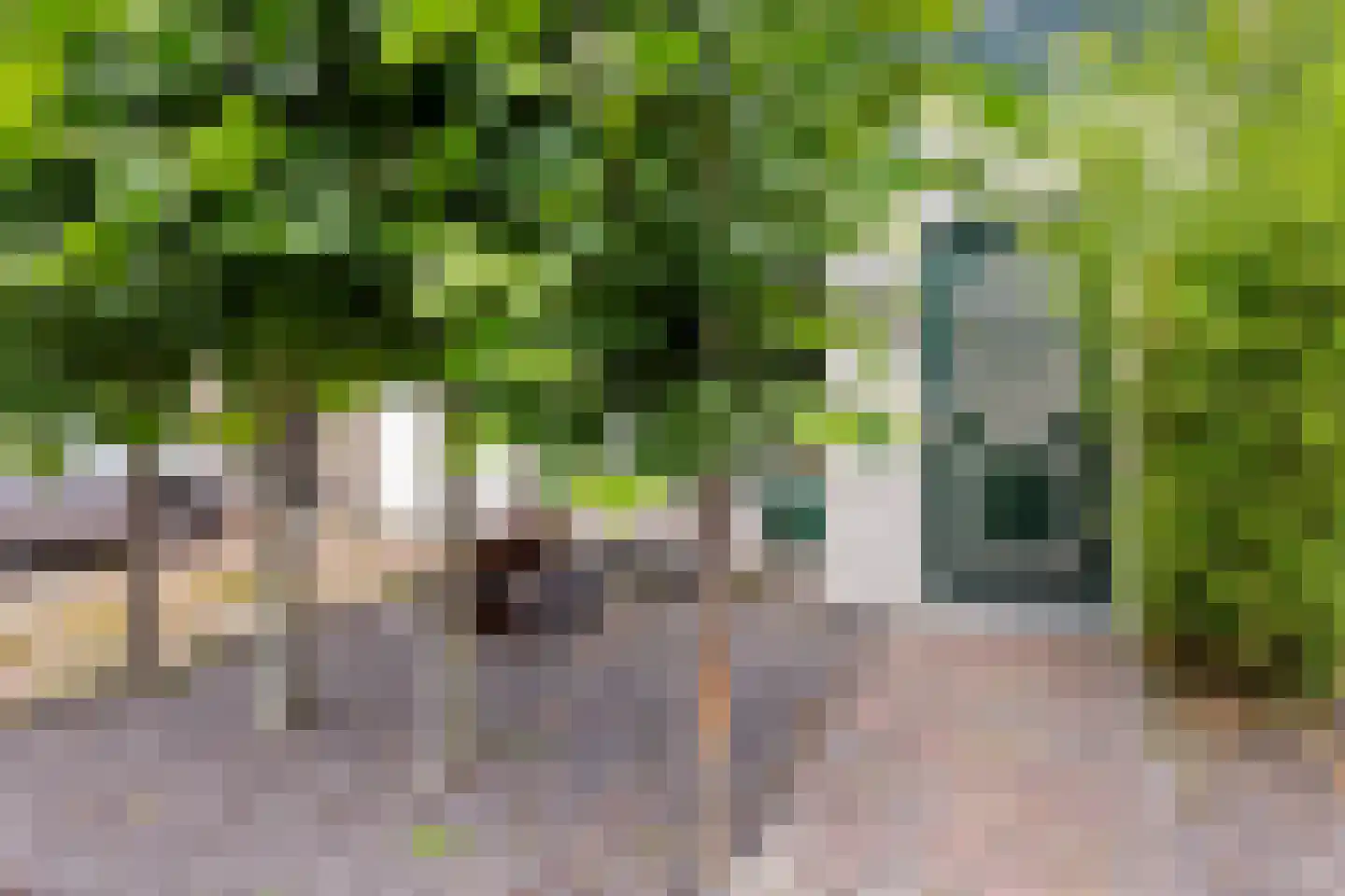 Zijlroede 27 Heerenveen thumbnail 4