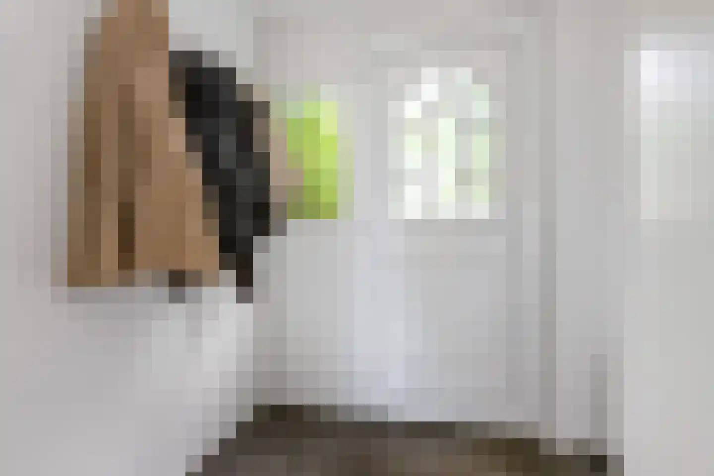 Zijlroede 27 Heerenveen thumbnail 6