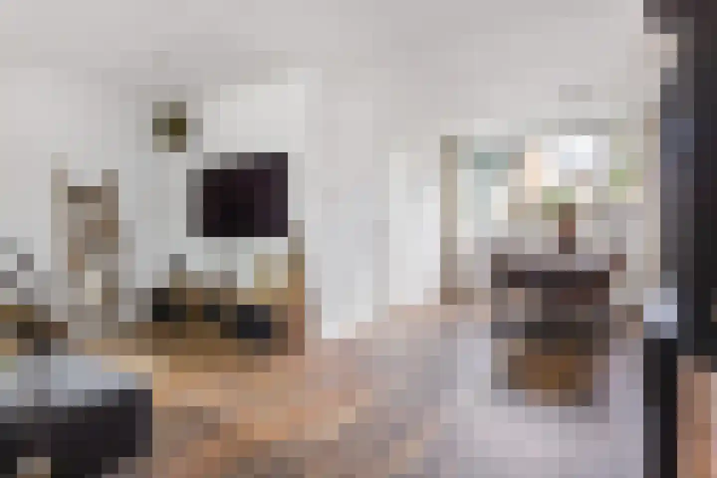 Zijlroede 27 Heerenveen thumbnail 7
