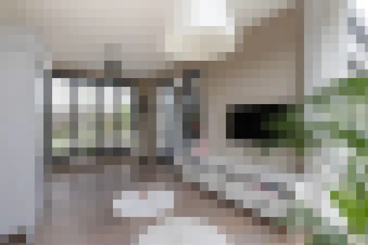 Zijlroede 30 Lemmer thumbnail 22