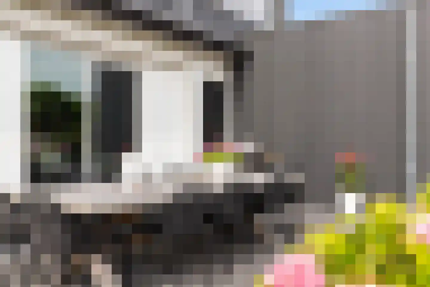 Zijlroede 30 Lemmer thumbnail 58