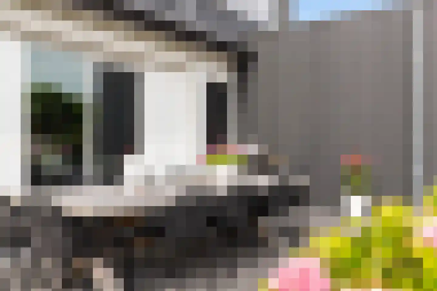 Zijlroede 30 Lemmer thumbnail 59