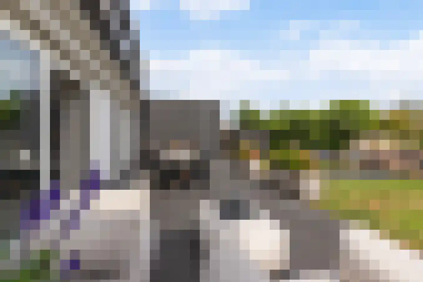 Zijlroede 30 Lemmer thumbnail 60