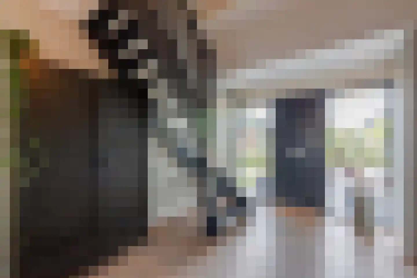 Zijlroede 30 Lemmer thumbnail 8