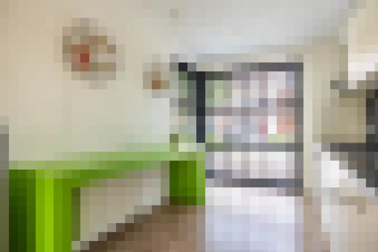 Zijlroede 33 Leeuwarden thumbnail 18