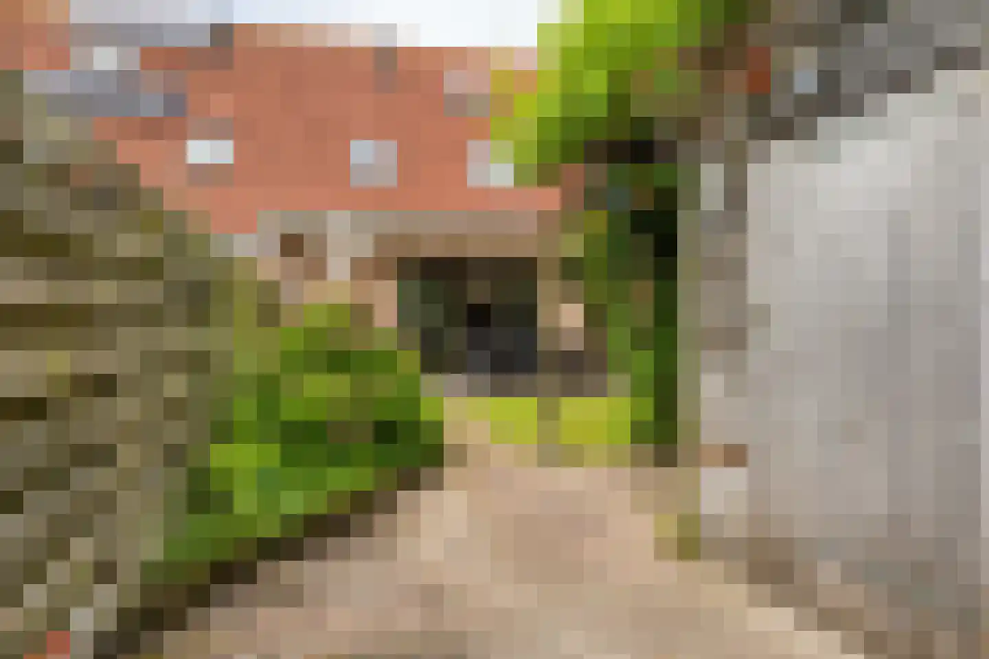 Zijlroede 33 Leeuwarden thumbnail 44