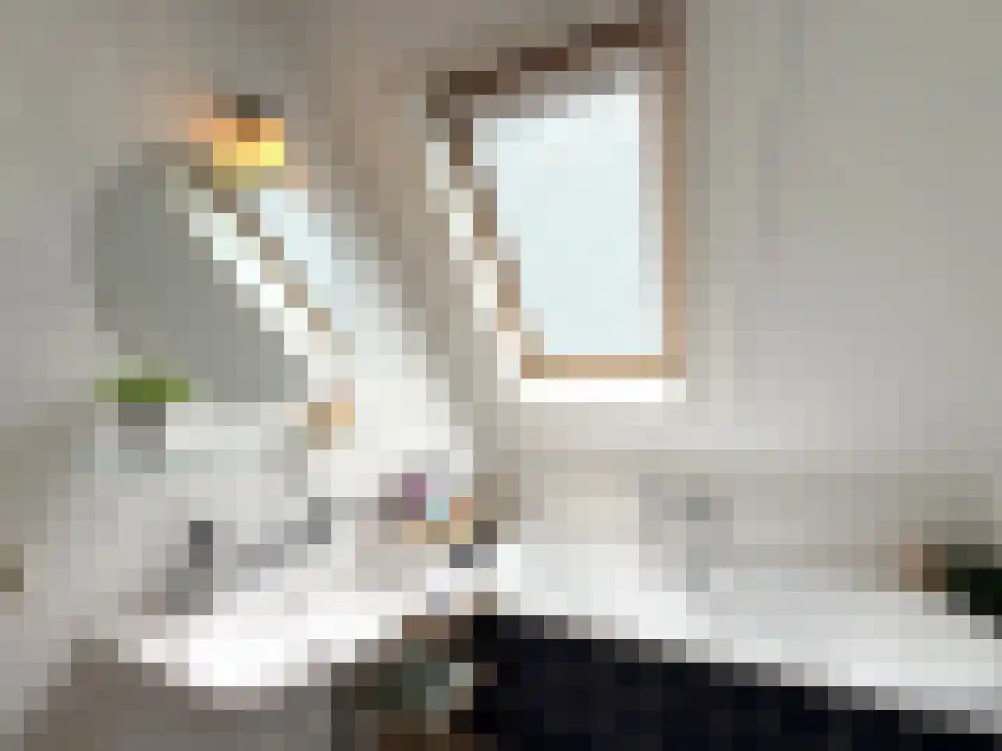 Zijlroede 48 Leeuwarden thumbnail 22