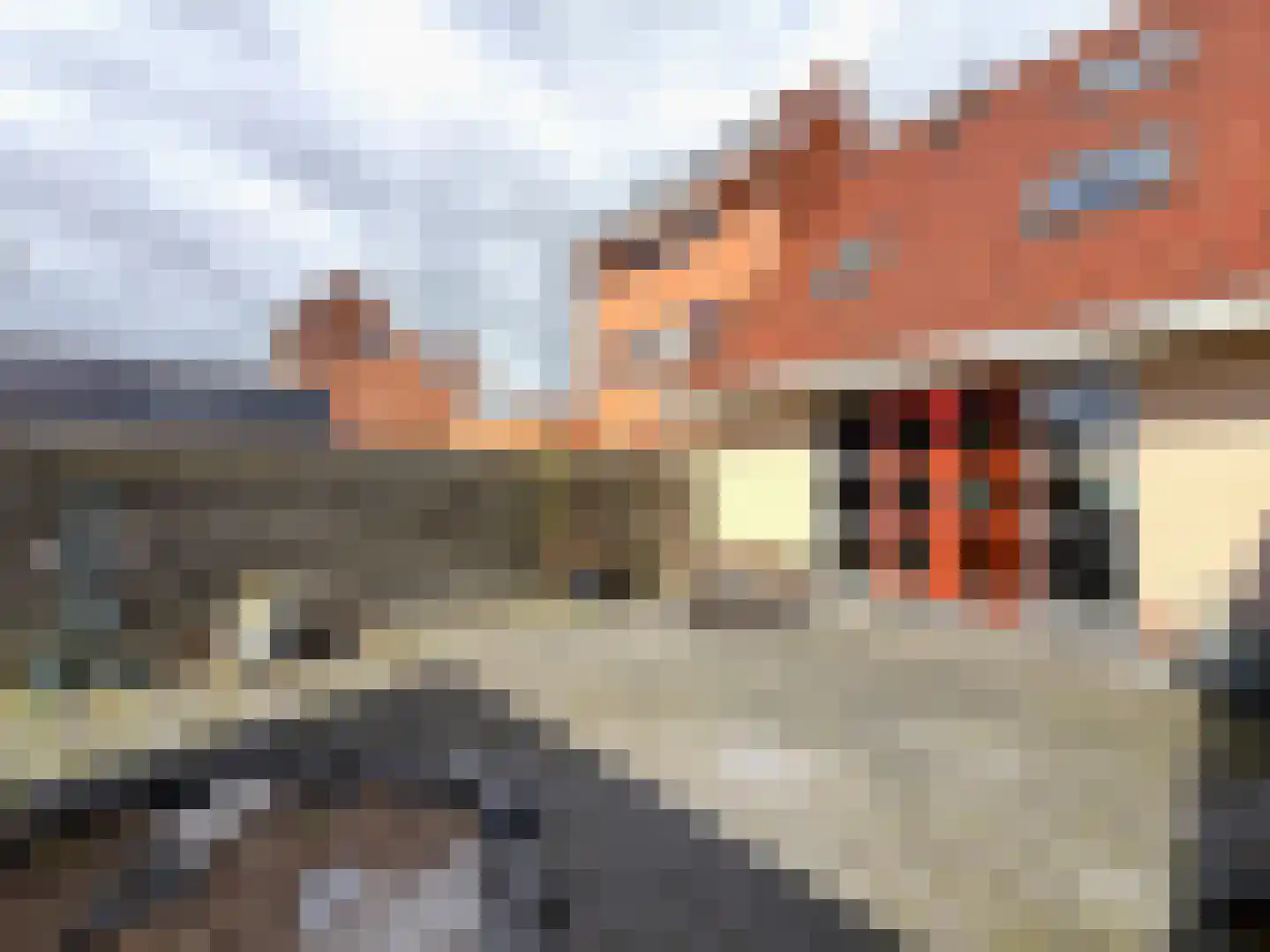 Zijlroede 48 Leeuwarden thumbnail 38