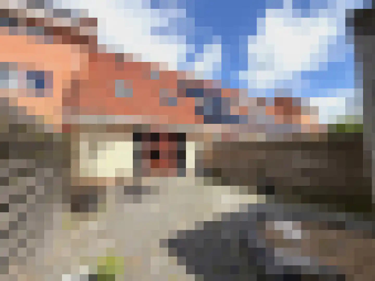 Zijlroede 48 Leeuwarden thumbnail 39