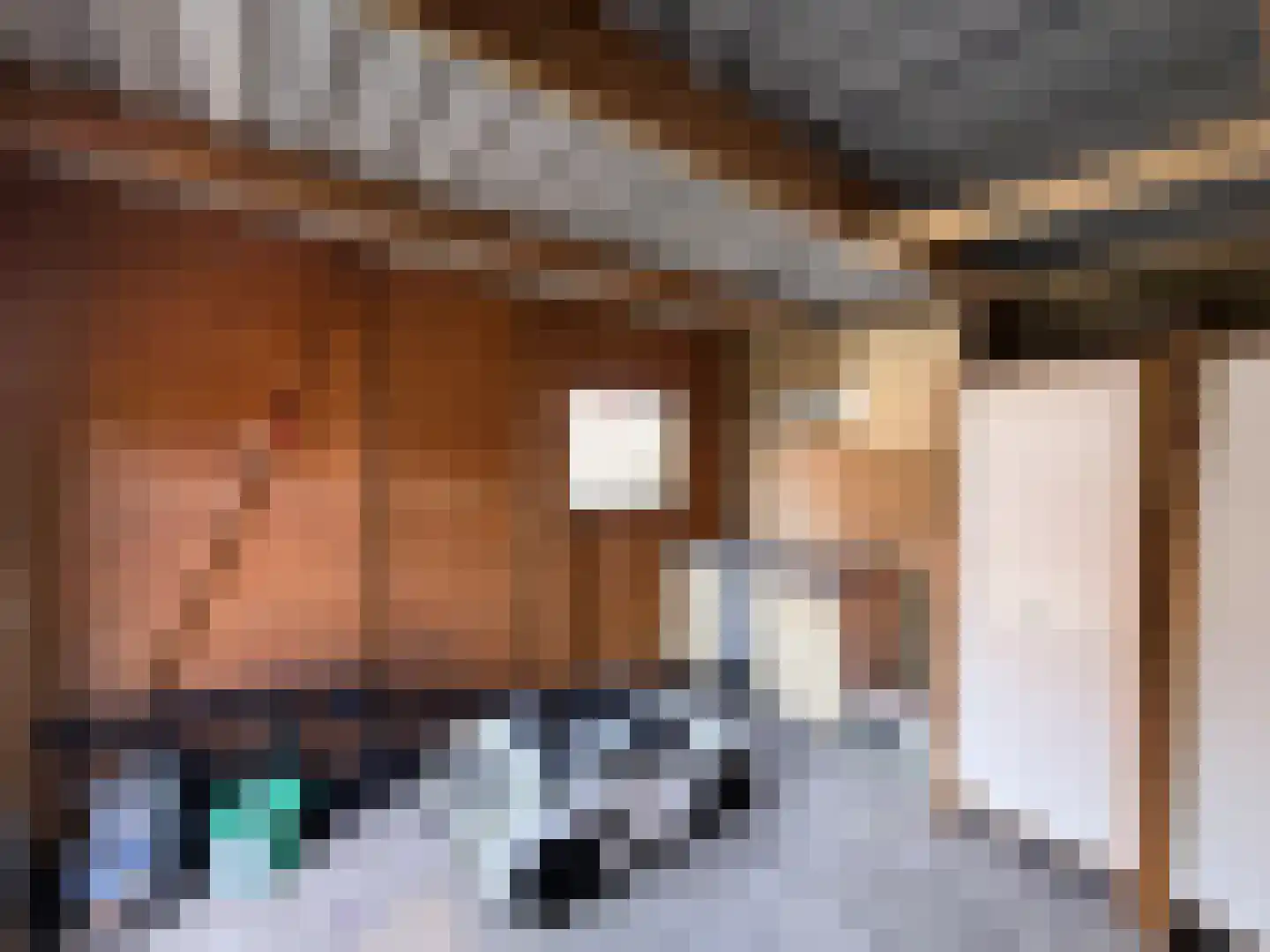 Zijlroede 48 Leeuwarden thumbnail 41