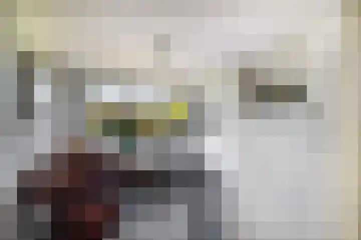 Zijlroede 7 Lemmer thumbnail 22