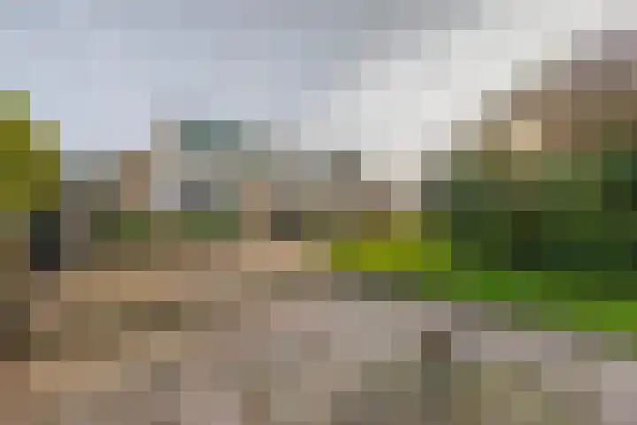 Zijlroede 7 Lemmer thumbnail 27