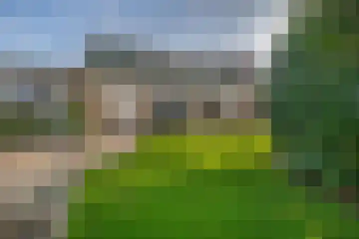 Zijlroede 7 Lemmer thumbnail 28