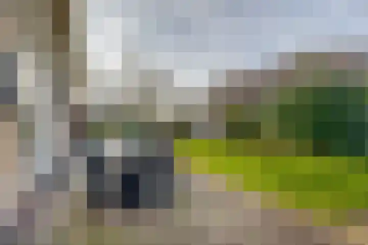 Zijlroede 7 Lemmer thumbnail 29
