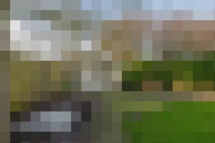 Zijlroede 7 Lemmer thumbnail 31