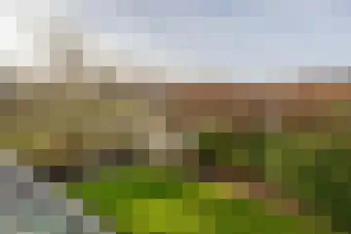 Zijlroede 7 Lemmer thumbnail 32