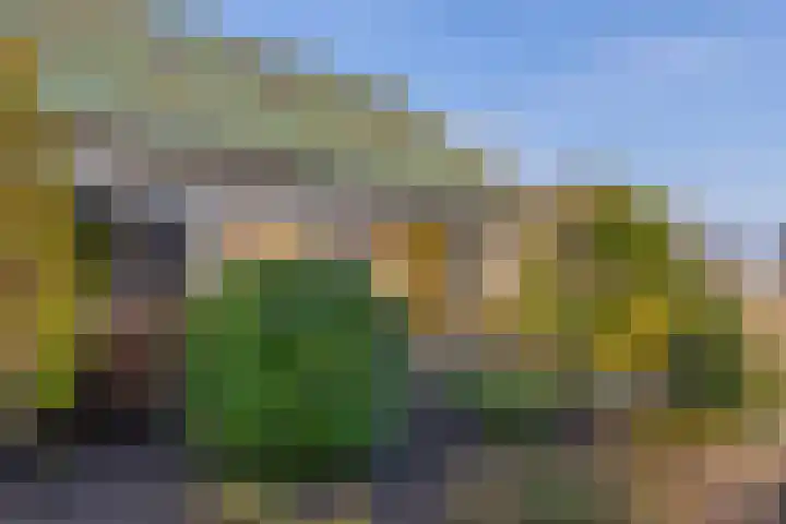 Zijlroede 7 Lemmer thumbnail 53