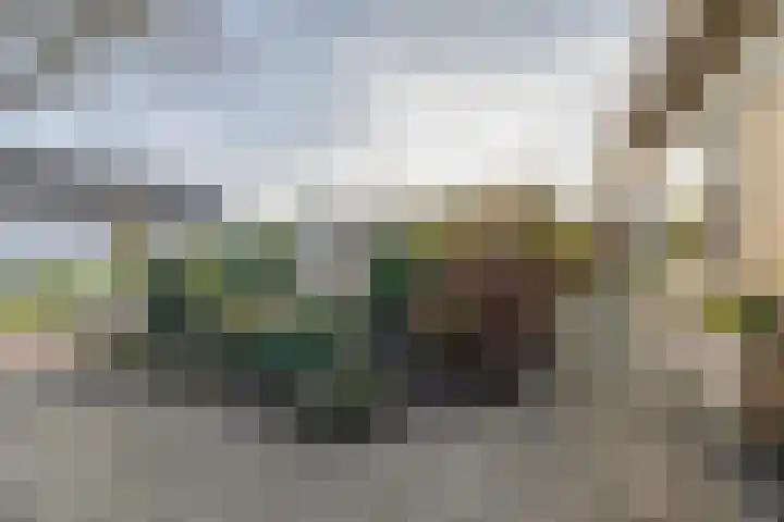 Zijlroede 7 Lemmer thumbnail 54