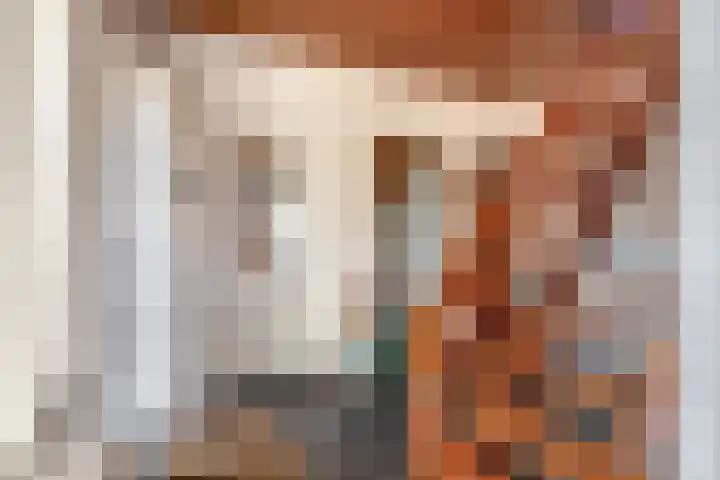 Zijlroede 7 Lemmer thumbnail 6