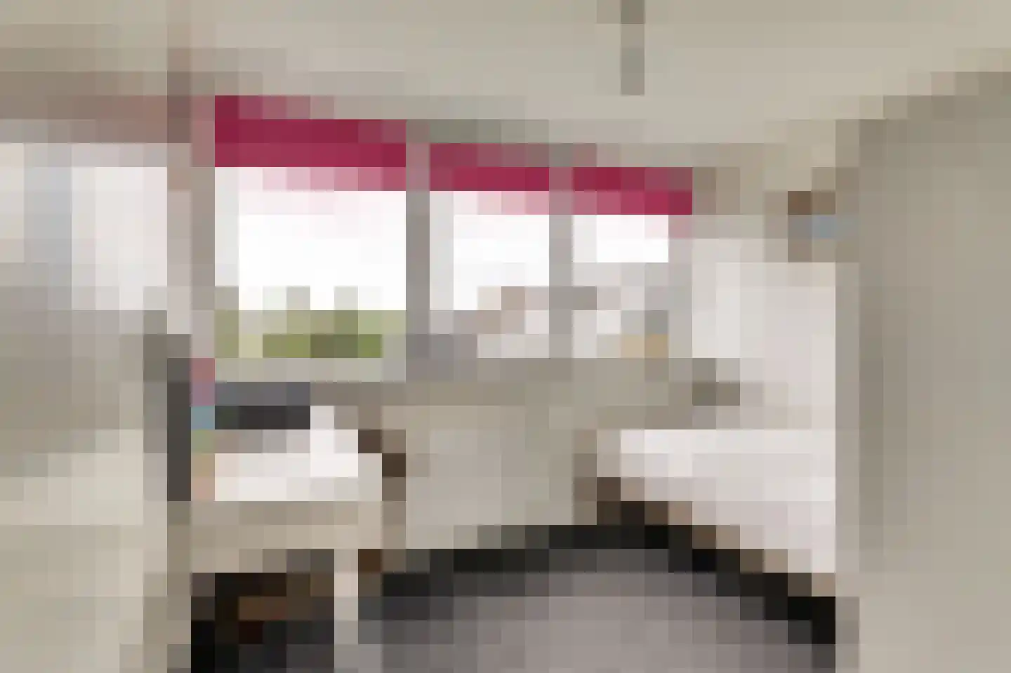 Zijlroede 9 Lemmer thumbnail 30