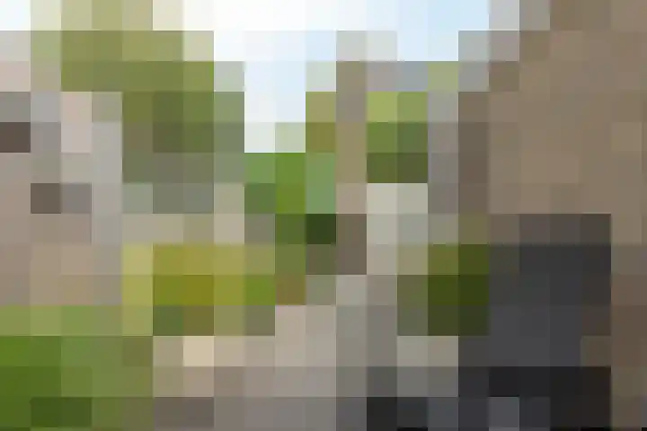 Zijlroede 90 Heerenveen thumbnail 12