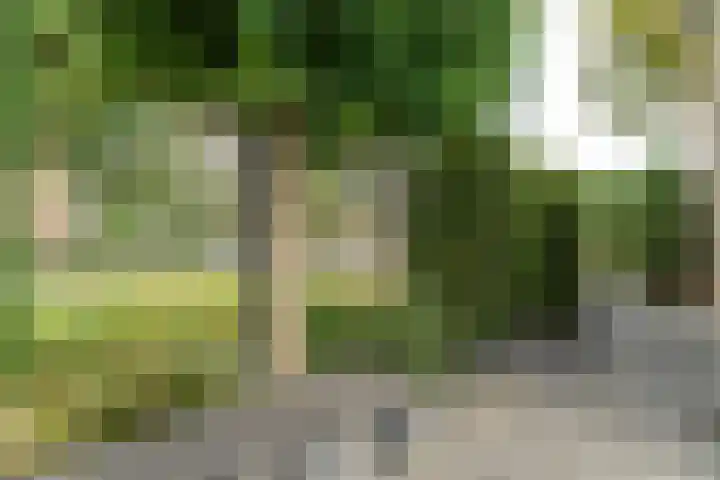 Zijlroede 90 Heerenveen thumbnail 13