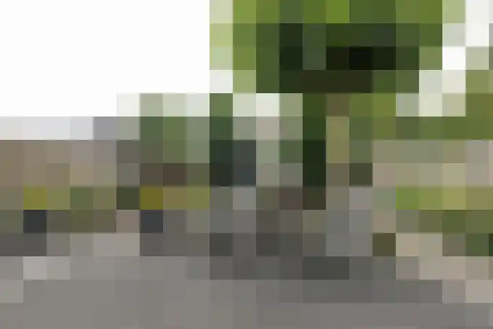 Zijlroede 90 Heerenveen thumbnail 14