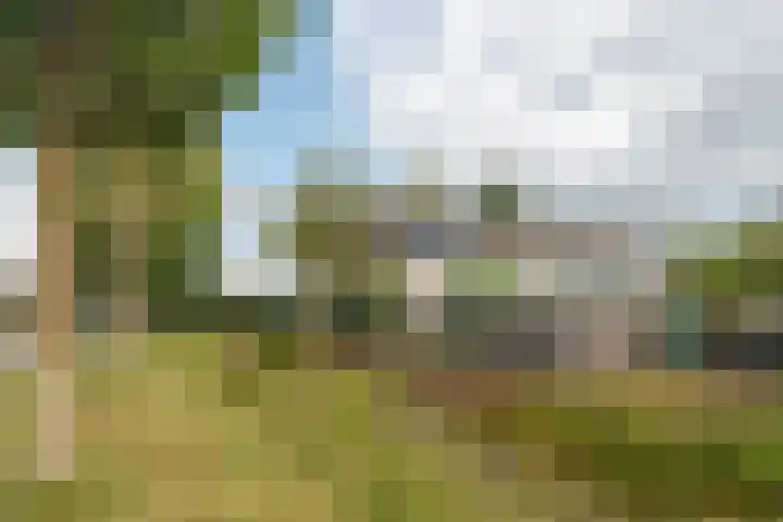 Zijlroede 90 Heerenveen thumbnail 15