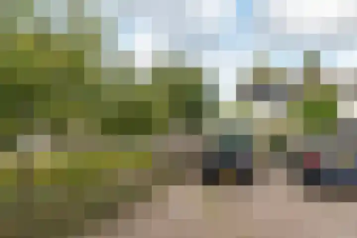 Zijlroede 90 Heerenveen thumbnail 17