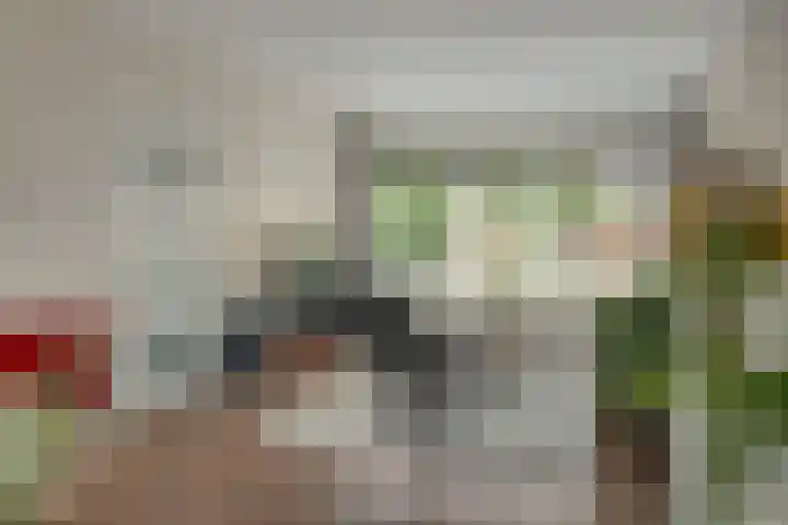 Zijlroede 90 Heerenveen thumbnail 20