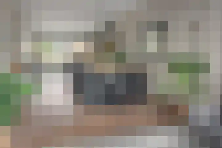 Zijlroede 90 Heerenveen thumbnail 21