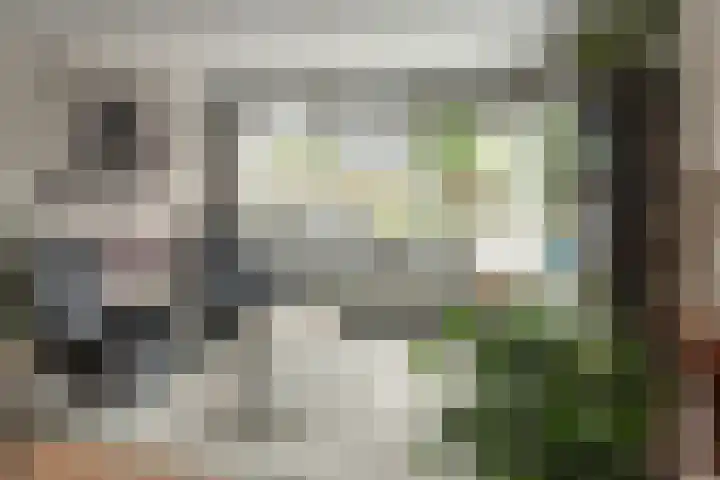 Zijlroede 90 Heerenveen thumbnail 24