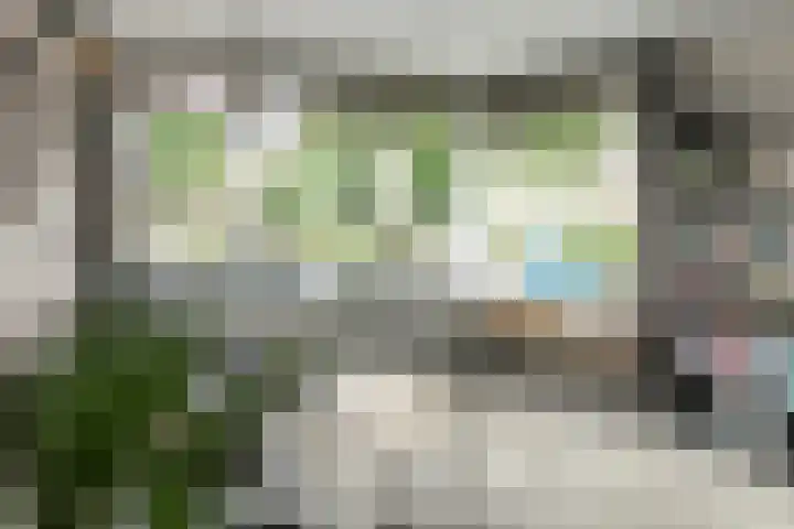Zijlroede 90 Heerenveen thumbnail 26