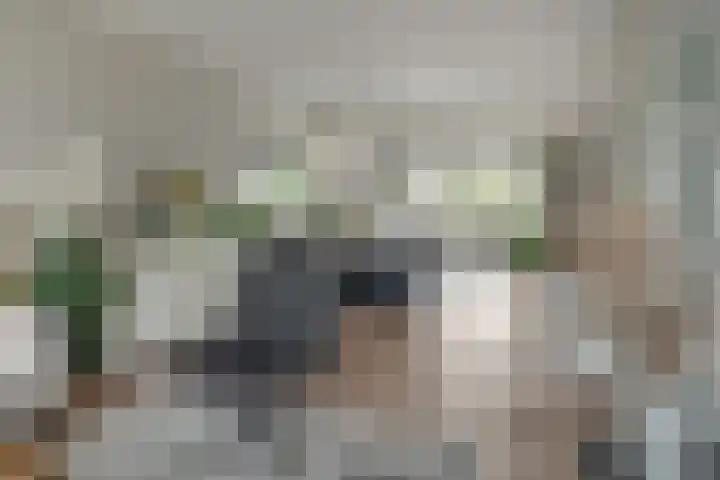 Zijlroede 90 Heerenveen thumbnail 27