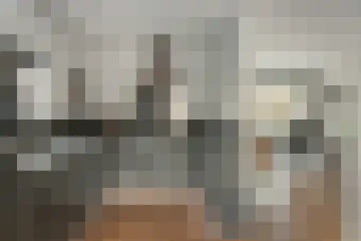 Zijlroede 90 Heerenveen thumbnail 30