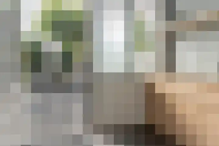 Zijlroede 90 Heerenveen thumbnail 32