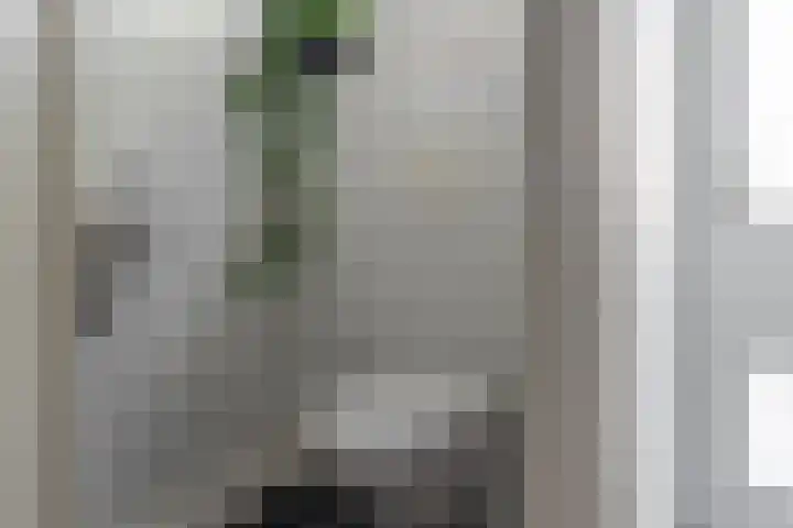 Zijlroede 90 Heerenveen thumbnail 34