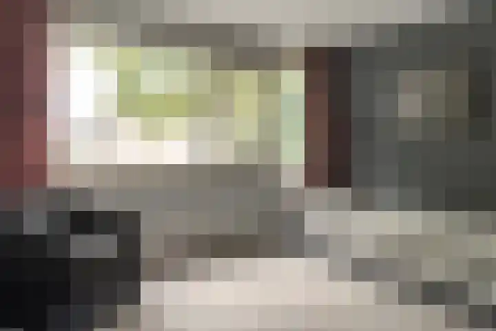 Zijlroede 90 Heerenveen thumbnail 37