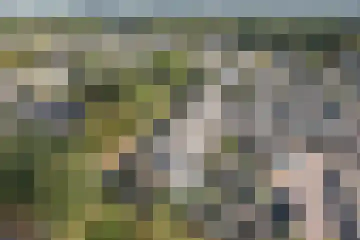 Zijlroede 90 Heerenveen thumbnail 48