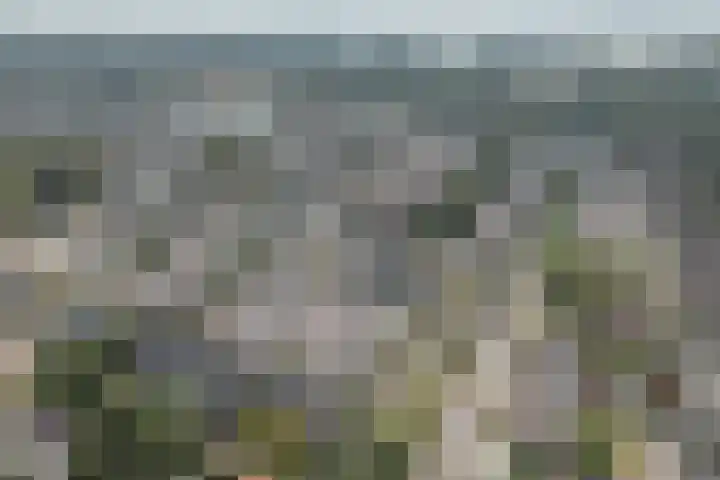 Zijlroede 90 Heerenveen thumbnail 49