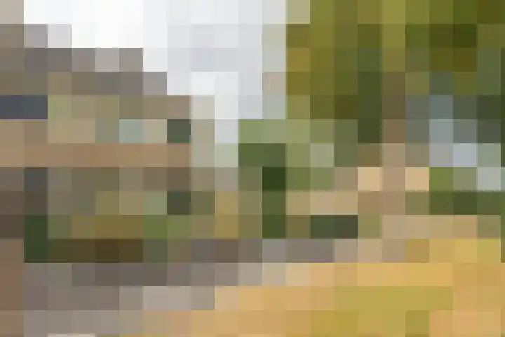 Zijlroede 90 Heerenveen thumbnail 6