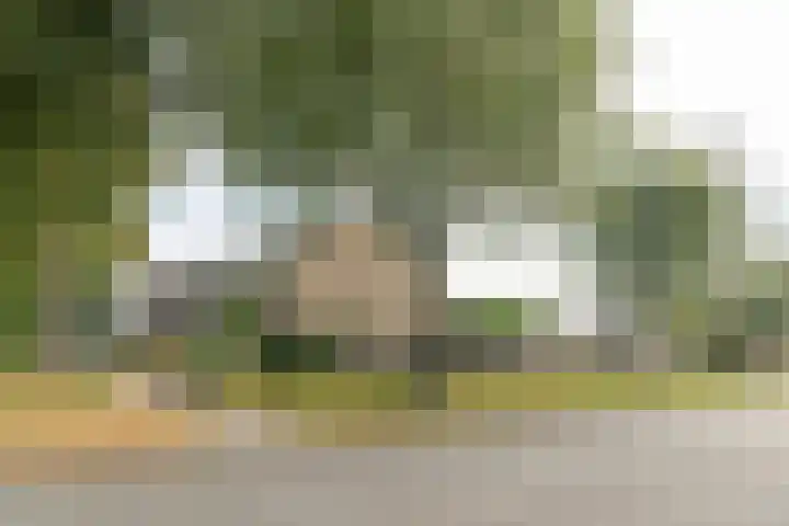 Zijlroede 90 Heerenveen thumbnail 8