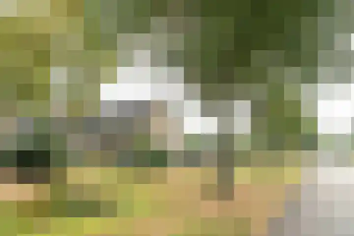 Zijlroede 90 Heerenveen thumbnail 9
