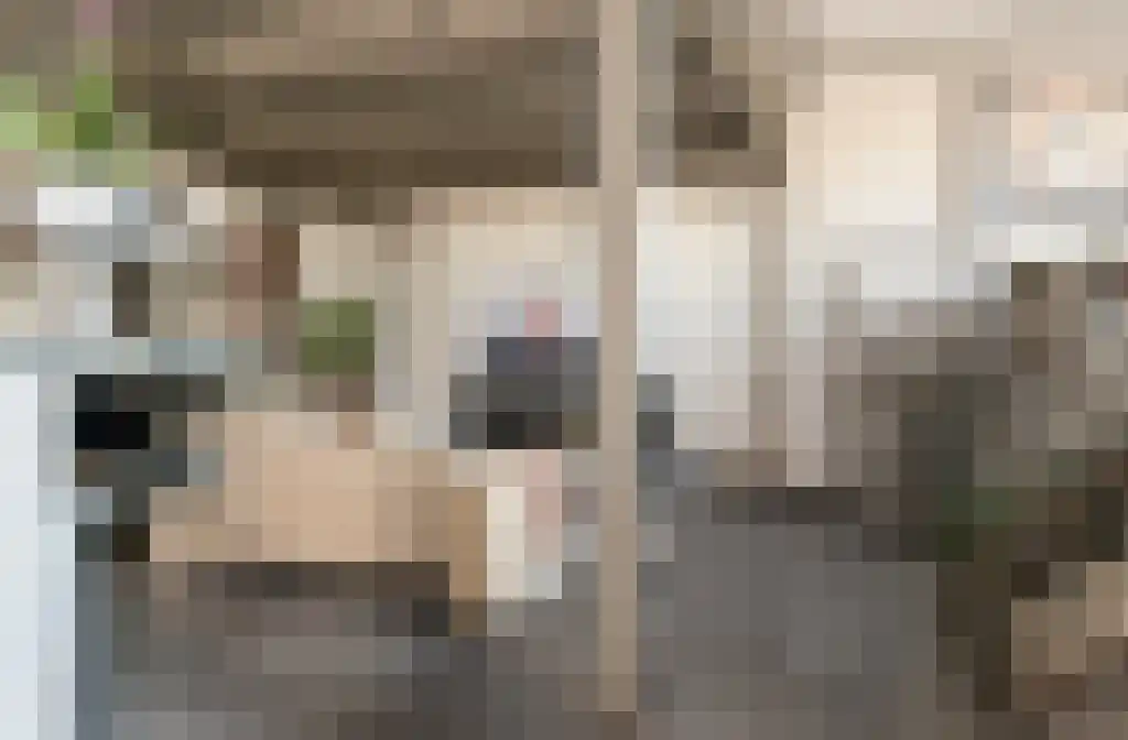 Zijlsingel 1 F Leiden thumbnail 6