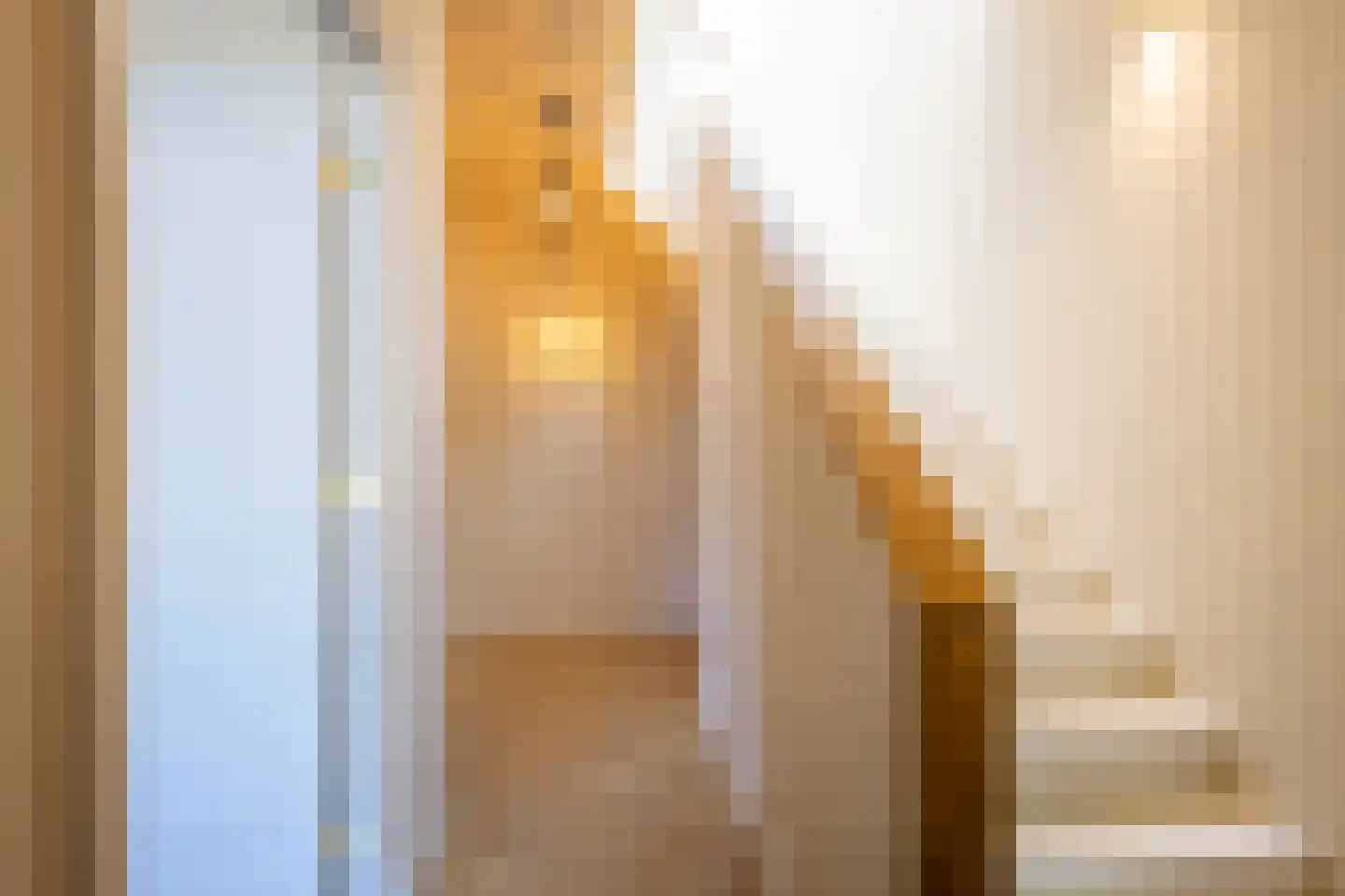 Zijlsingel 27 Leiden thumbnail 4