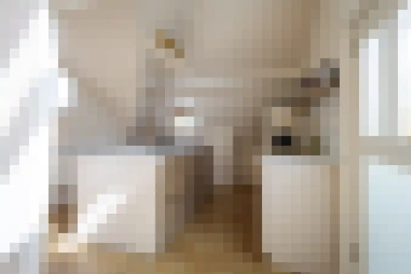 Zijlsingel 27 Leiden thumbnail 7