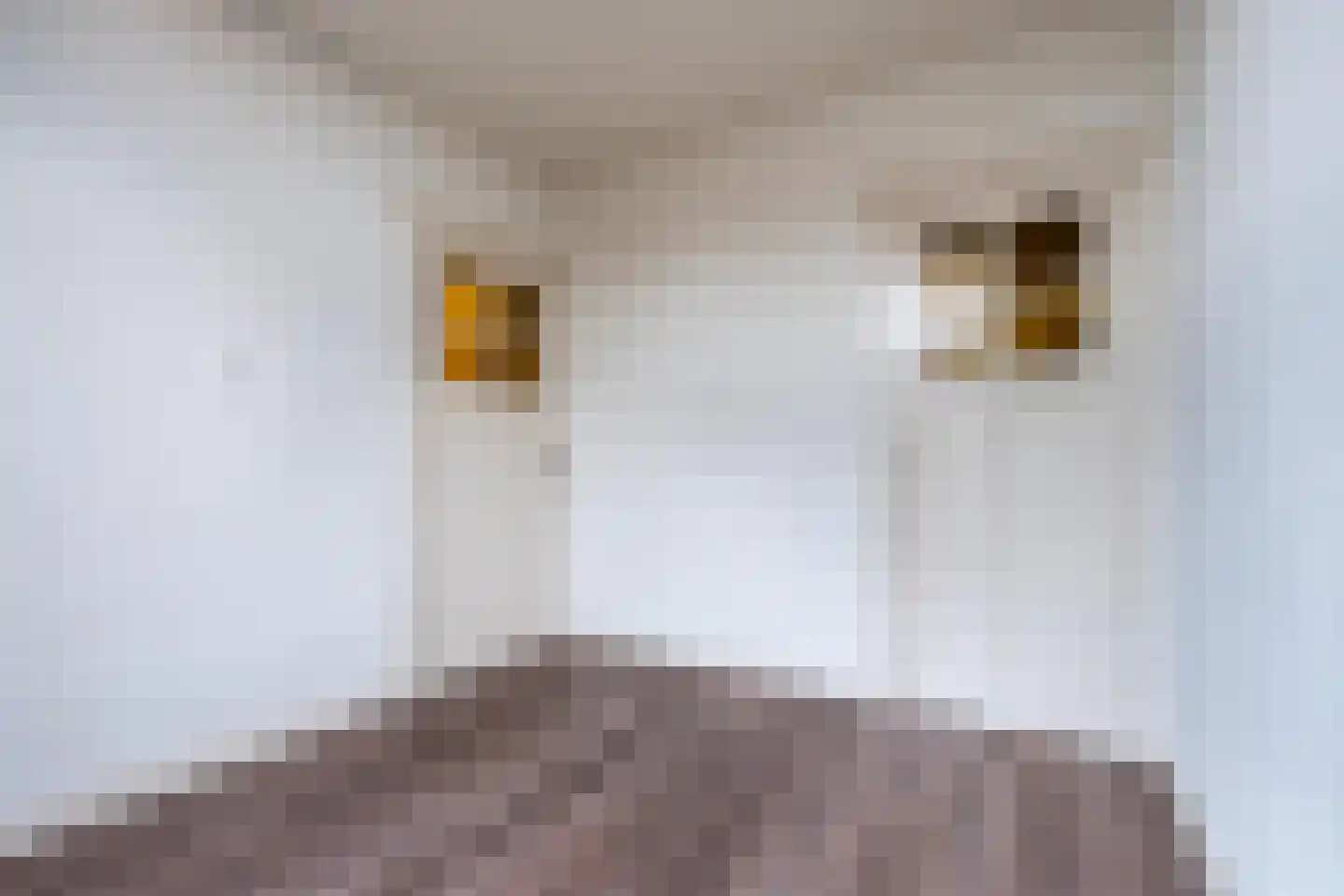 Zijlsingel 35 Leiden thumbnail 32
