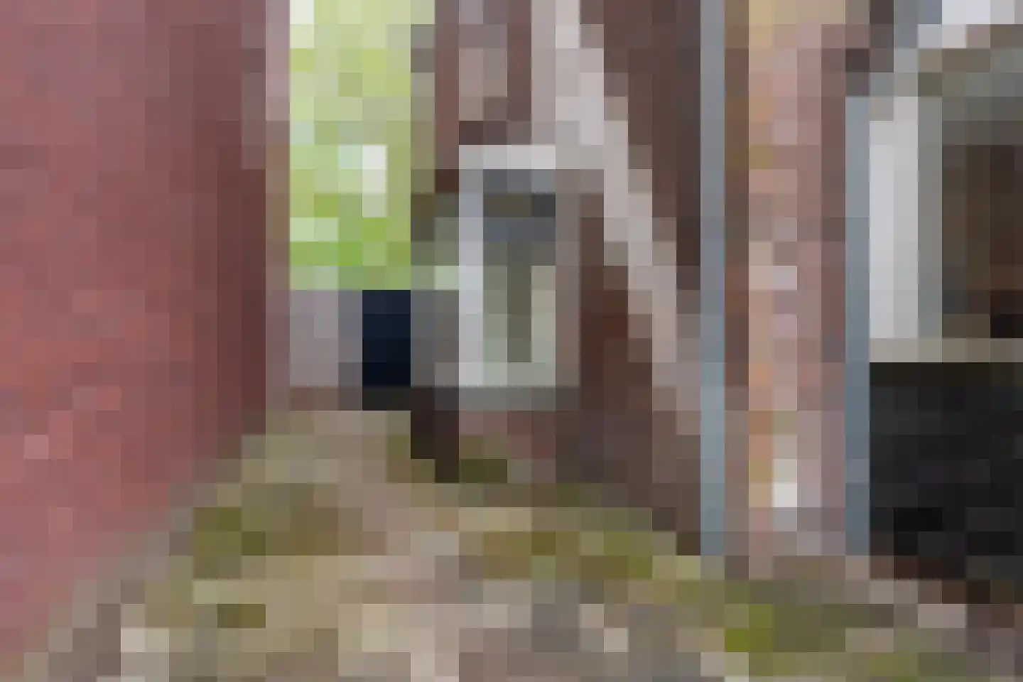 Zijlsingel 35 Leiden thumbnail 47