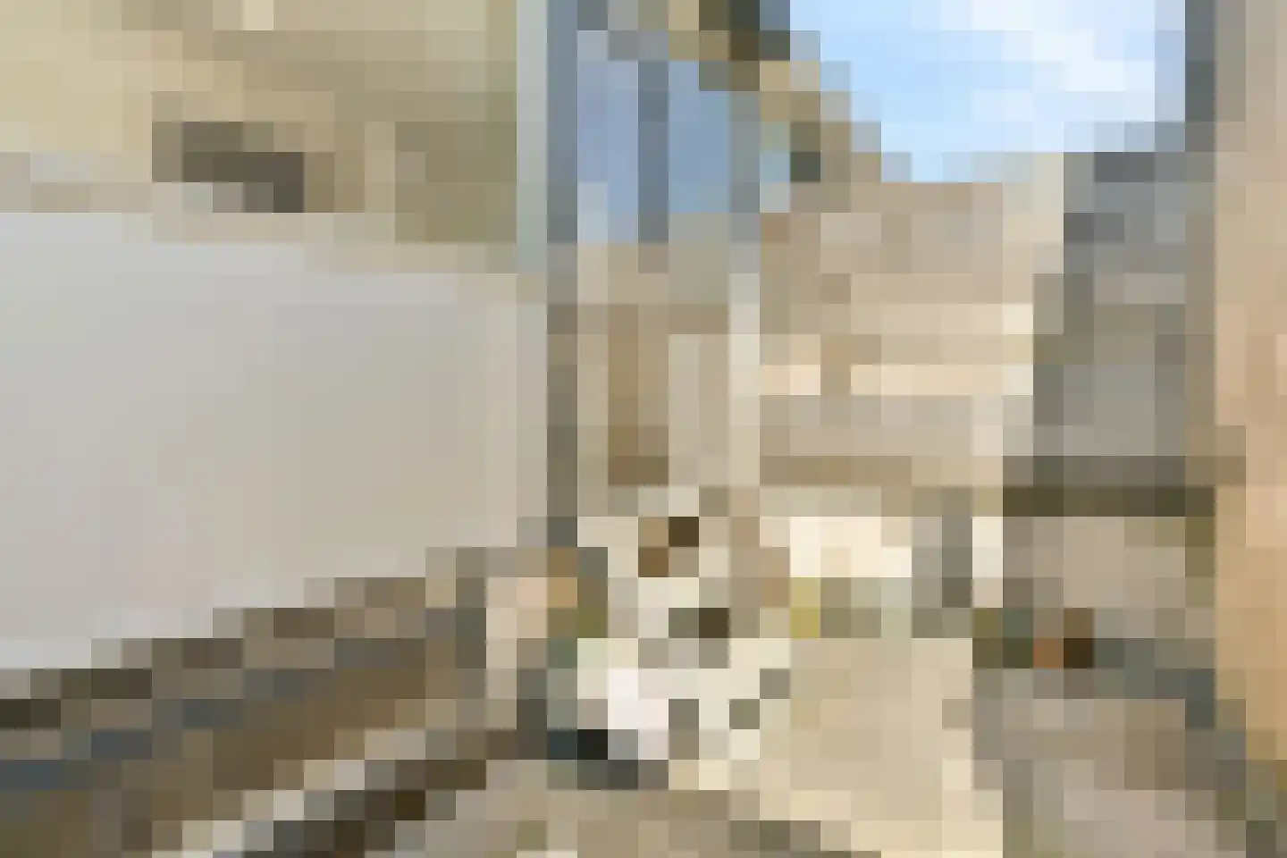 Zijlsingel 64 Leiden thumbnail 15