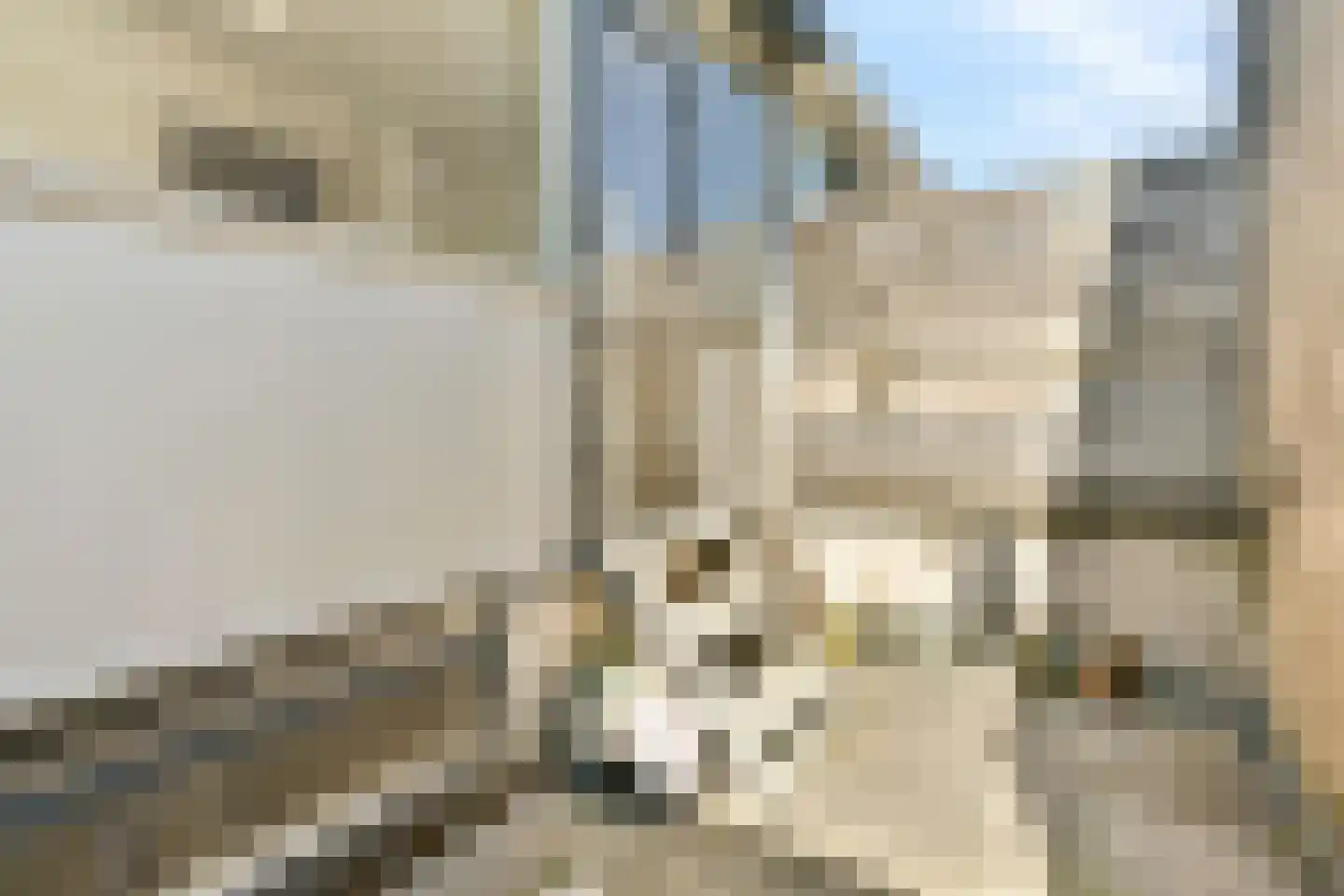 Zijlsingel 64 Leiden thumbnail 15